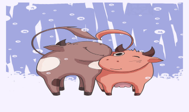 Бык-мужчина и Бык-женщина в восточном гороскопе Мужчина Бык и женщина