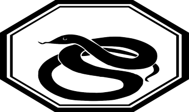 Стихии Змеи по году рождения в восточном гороскопе Стихии Змеи