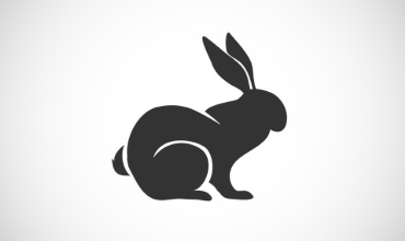 Заяц (кролик) — гороскоп совместимости со знаками восточного гороскопа Совместимость зайца