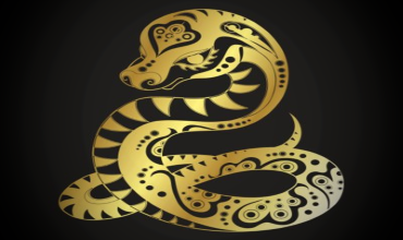 Змея в китайском гороскопе — легенды, мифы, история Змея в китайском гороскопе