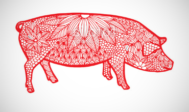 Стихии Свиньи по году рождения в восточном гороскопе Стихия Свиньи