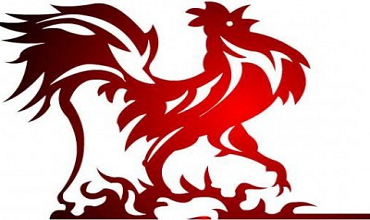 Стихии Петуха по году рождения в восточном гороскопе Стихия петуха