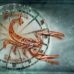 Характеристика и качества Скорпиона Общий гороскоп Скорпиона