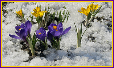 Приметы на Сретение и приход весны Сретение приметы