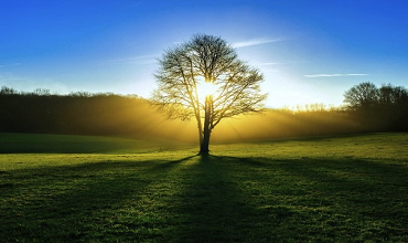 Четвертый лунный день 4 лунный день