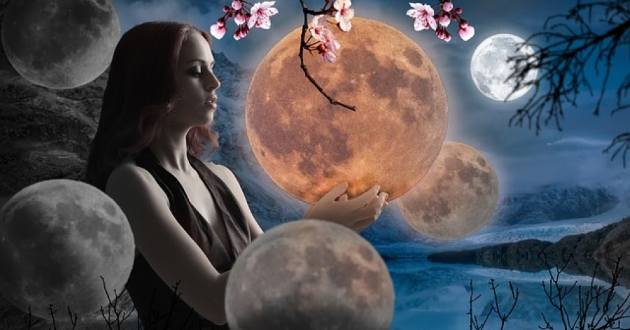 Одиннадцатый лунный день 11 лунный день