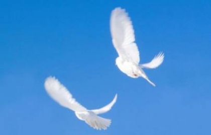 Приметы на Благовещение Приметы на Благовещение