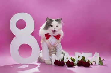 Прикольные тосты на 8 марта Тосты на 8 Марта