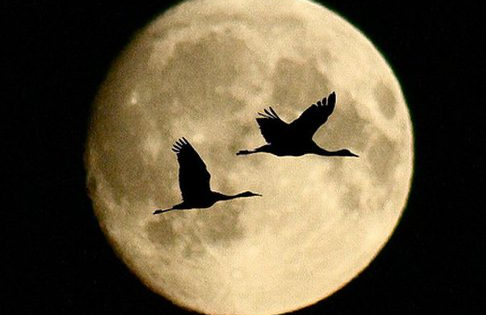 Двадцатый лунный день 20 лунный день