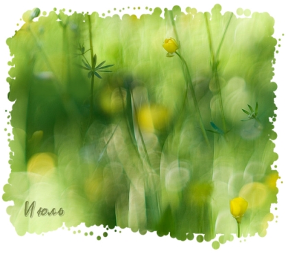 Традиции и приметы июля Приметы июль