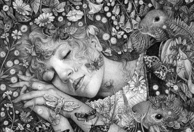 Дневник сновидений: учимся толковать сны Толкование снов