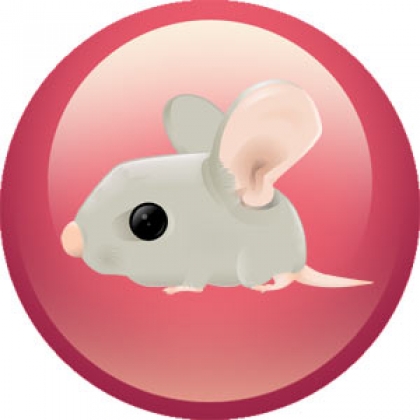 Гороскоп Крысы на 2018 год Гороскоп Крысы на 2018