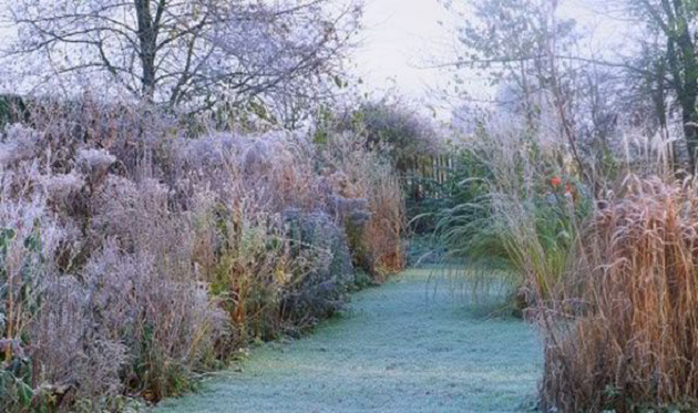 Посевной календарь на январь 2018 года Лунный посевной календарь на январь 2018