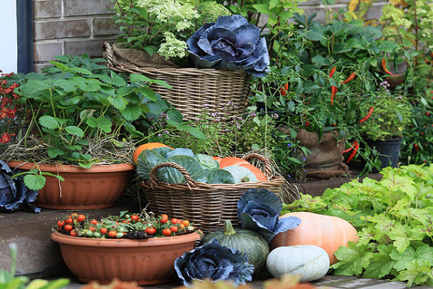 Посевной календарь на март 2018 года Лунный посевной календарь на март 2018