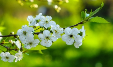 Денежный календарь на май 2018 года