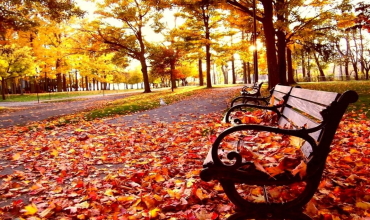 Календарь здоровья на ноябрь 2018 Календарь здоровья на ноябрь 2018