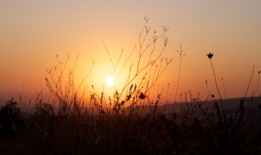 Календарь здоровья на август 2018 Календарь здоровья на август