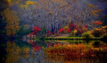 Календарь здоровья на октябрь 2018 Календарь здоровья на октябрь