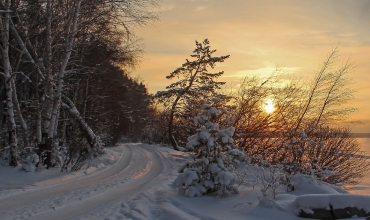 Календарь здоровья на декабрь 2018