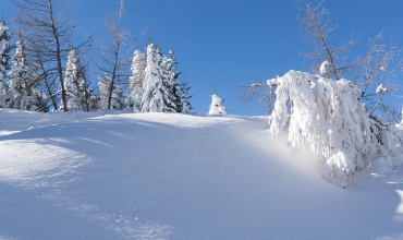 Лунный посевной календарь на декабрь 2018 года Посевной календарь на декабрь