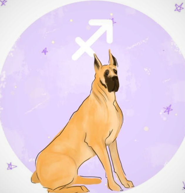 Гороскоп Собаки на 2019 год Гороскоп Собаки