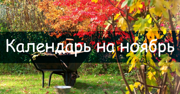 Посевной календарь на ноябрь 2019 года Лунный календарь огородника на ноябрь 2019