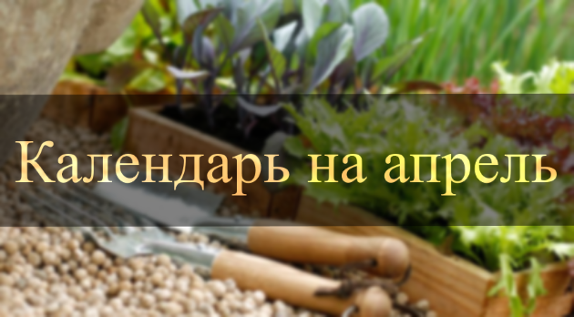Посевной календарь на апрель 2019 года Лунный календарь огородника на апрель 2019
