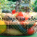 Посевной календарь на август 2019 года Лунный календарь огородника на август 2019