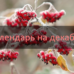Посевной календарь на декабрь 2019 года Лунный календарь огородника на декабрь 2019