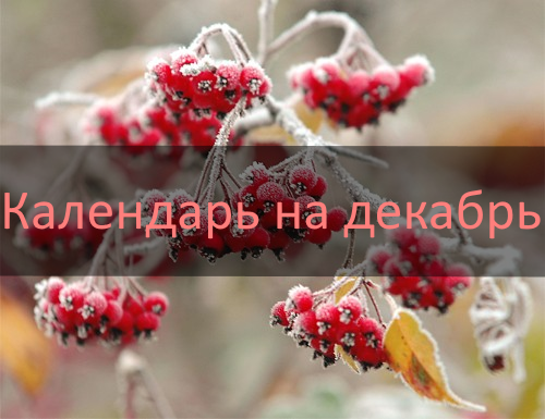Посевной календарь на декабрь 2019 года Лунный календарь огородника на декабрь 2019