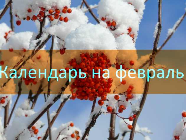Посевной календарь на февраль 2019 года Лунный календарь огородника на февраль 2019