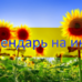 Посевной календарь на июль 2019 года Лунный календарь огородника на июль 2019