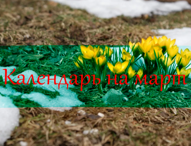 Посевной календарь на март 2019 года Лунный календарь огородника на март 2019