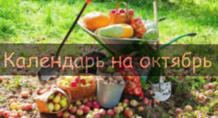 Посевной календарь на октябрь 2019 года Лунный календарь огородника на октябрь 2019