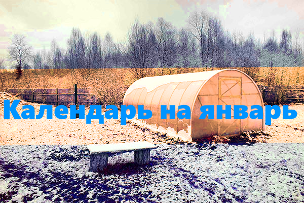 Лунный посевной календарь на январь 2019 года Календарь садовода на январь 2019
