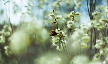 Календарь красоты и здоровья на апрель 2019 года Лунный календарь здоровья на апрель 2019