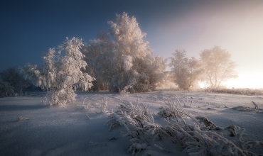 Календарь красоты и здоровья на декабрь 2019 года Лунный календарь здоровья на декабрь 2019