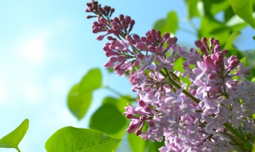 Календарь красоты и здоровья на май 2019 года