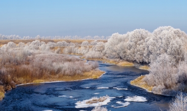 Календарь красоты и здоровья на ноябрь 2019 года Лунный календарь здоровья на ноябрь 2019