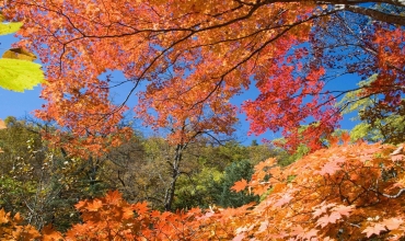 Календарь красоты и здоровья на октябрь 2019 года Лунный календарь здоровья на октябрь 2019