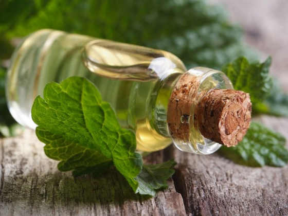 Ароматы для Скорпиона женщины и мужчины (24.10-22.11) Эфирные масла для Скорпиона