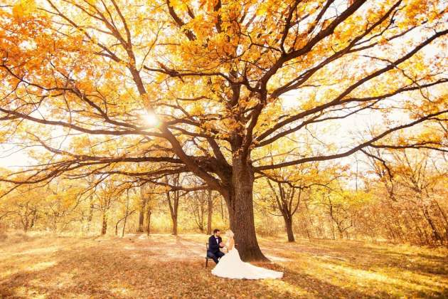 Календарь свадеб на октябрь 2019 года Лунный календарь свадеб на октябрь 2019