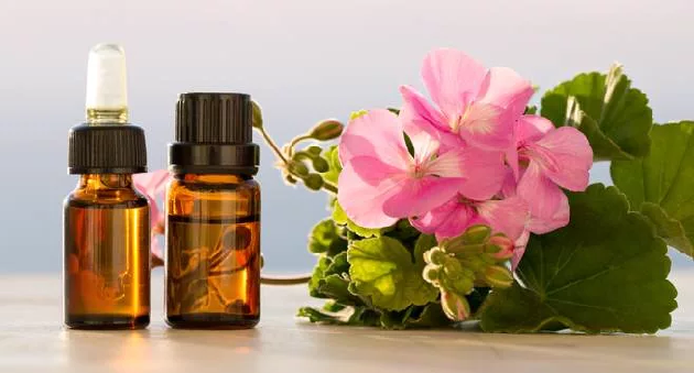 Масло герани Масло герани