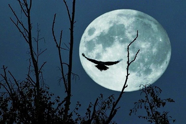 Лунный календарь здоровья и благополучия на декабрь 2020 года Лунный календарь на декабрь 2020