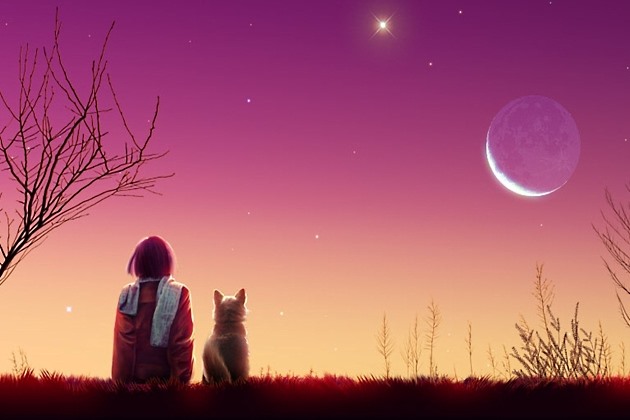 Лунный календарь здоровья и благополучия на ноябрь 2020 года Лунный календарь на ноябрь 2020