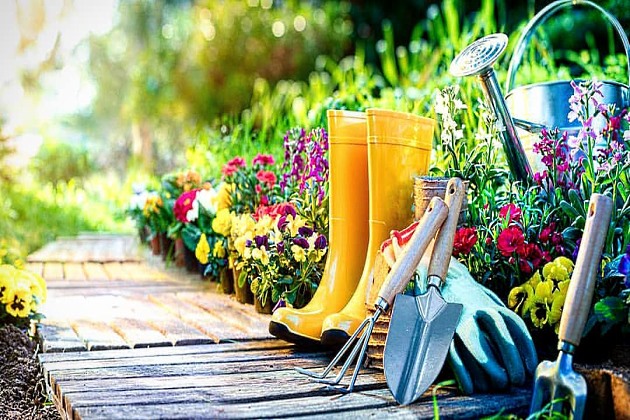 Посевной календарь на февраль 2020 года Лунный календарь огородника на февраль 2020