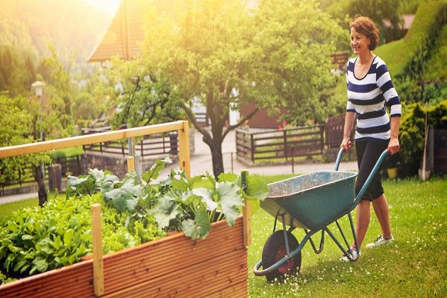 Посевной календарь на март 2020 года Лунный календарь огородника на март 2020