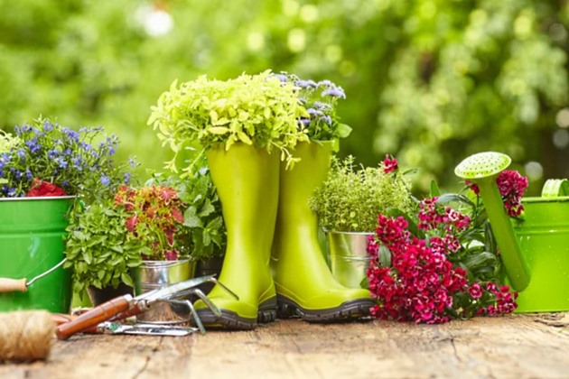 Посевной календарь на октябрь 2020 года Лунный календарь огородника на октябрь 2020