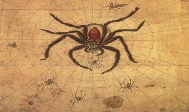 Гороскоп по Славянскому календарю на 2020 год Славянский гороскоп на 2020 год