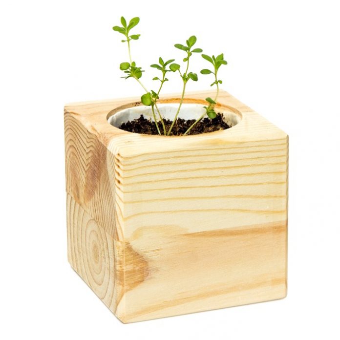 ЭКОКУБ ДЛЯ ВЫРАЩИВАНИЯ РАСТЕНИЙ